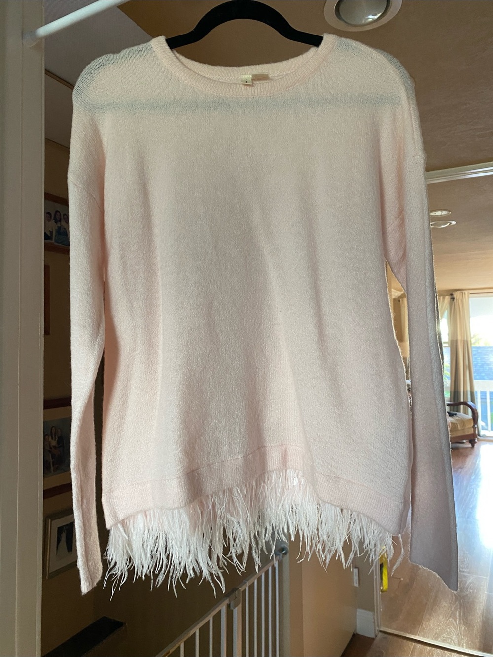 MOTH Pale Pink Feather-Hem Crewneck Sweater